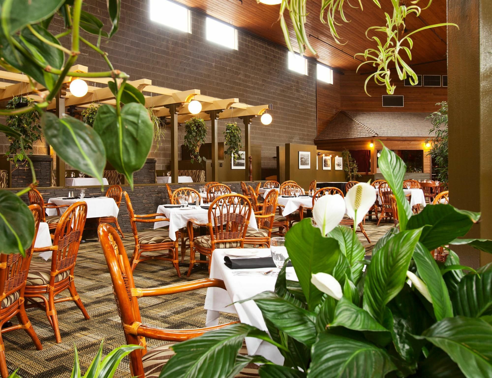 Surestay Hotel By Best Western ชิลลิแวค ภายนอก รูปภาพ